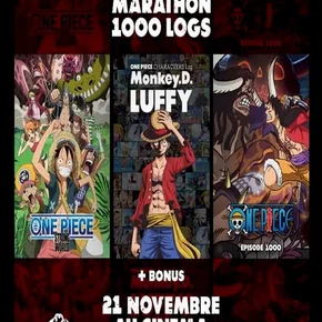 Photo du film : Marathon One Piece 1000 Logs