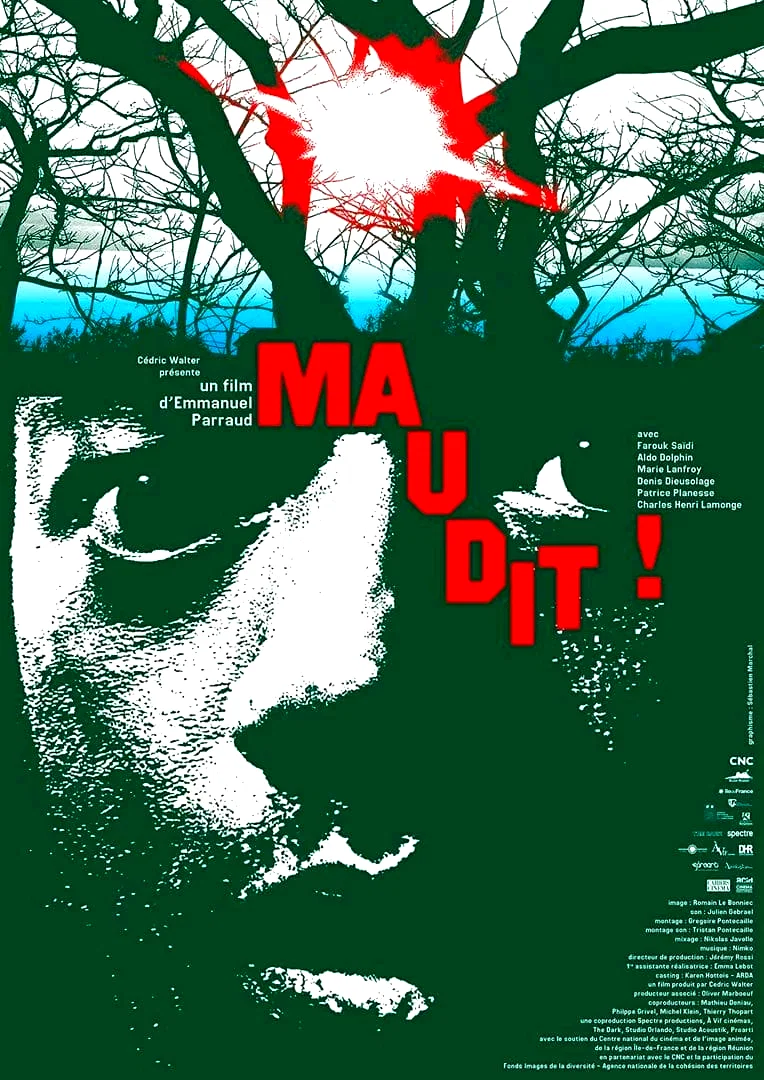 Affiche du film : Maudit !