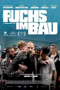 Affiche du film Fox in a Hole