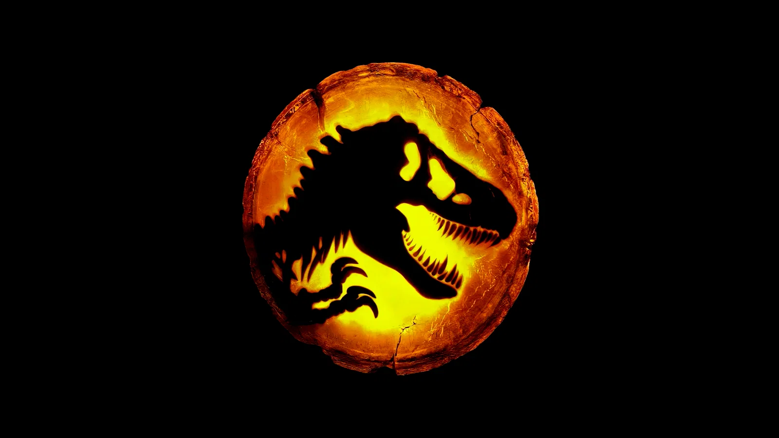 Photo 13 du film : Jurassic World : Le Monde d'après