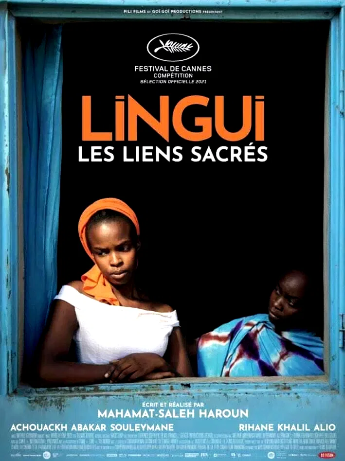 Affiche du film : Lingui, les liens sacrés