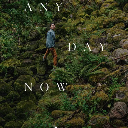 Miniature photo du film : Any Day Now