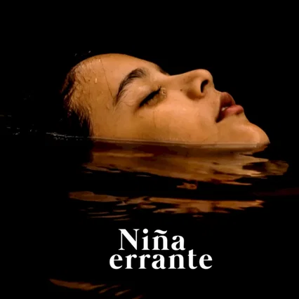 Miniature photo du film : Niña errante
