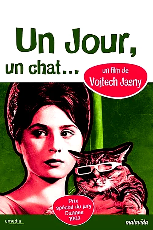 Affiche du film : Un jour un chat