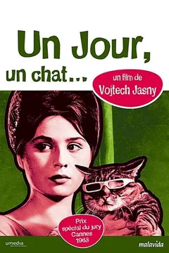 Affiche du film Un jour un chat