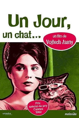 Affiche du film : Un jour un chat
