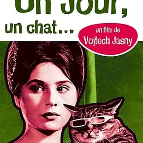 Photo du film : Un jour un chat