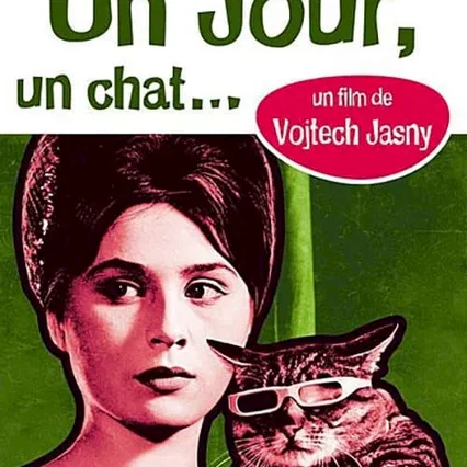 Miniature photo du film : Un jour un chat