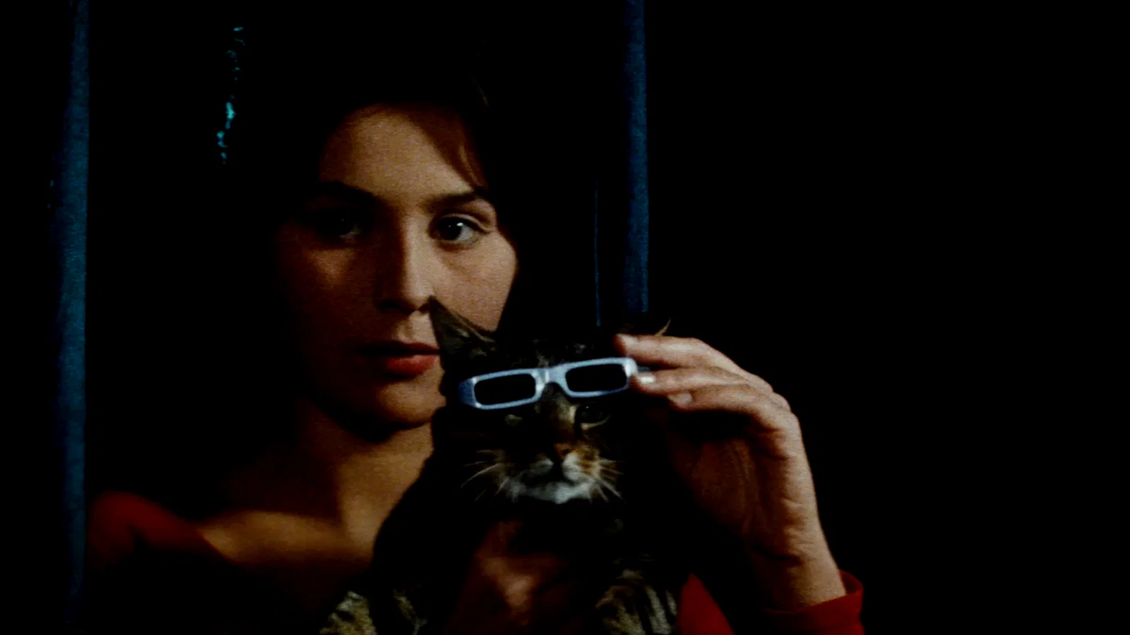 Photo 3 du film : Un jour un chat
