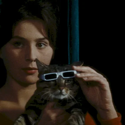 Miniature photo du film : Un jour un chat