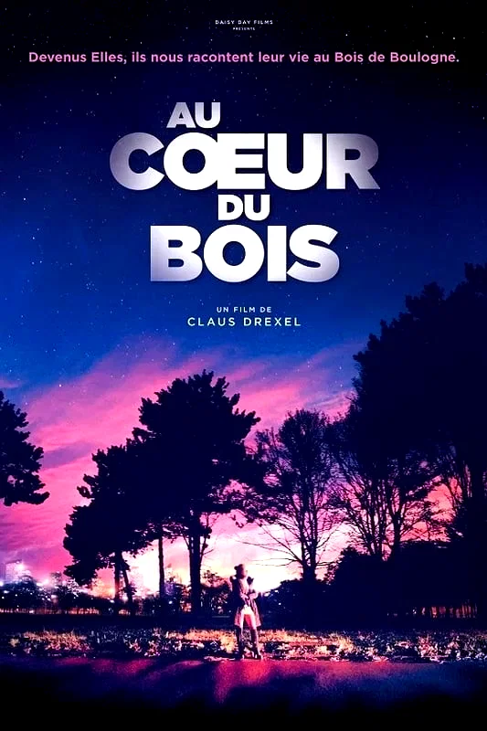 Affiche du film : Au cœur du bois