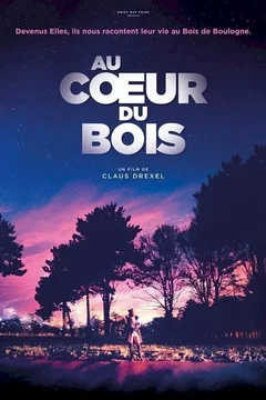 Affiche du film = Au cœur du bois