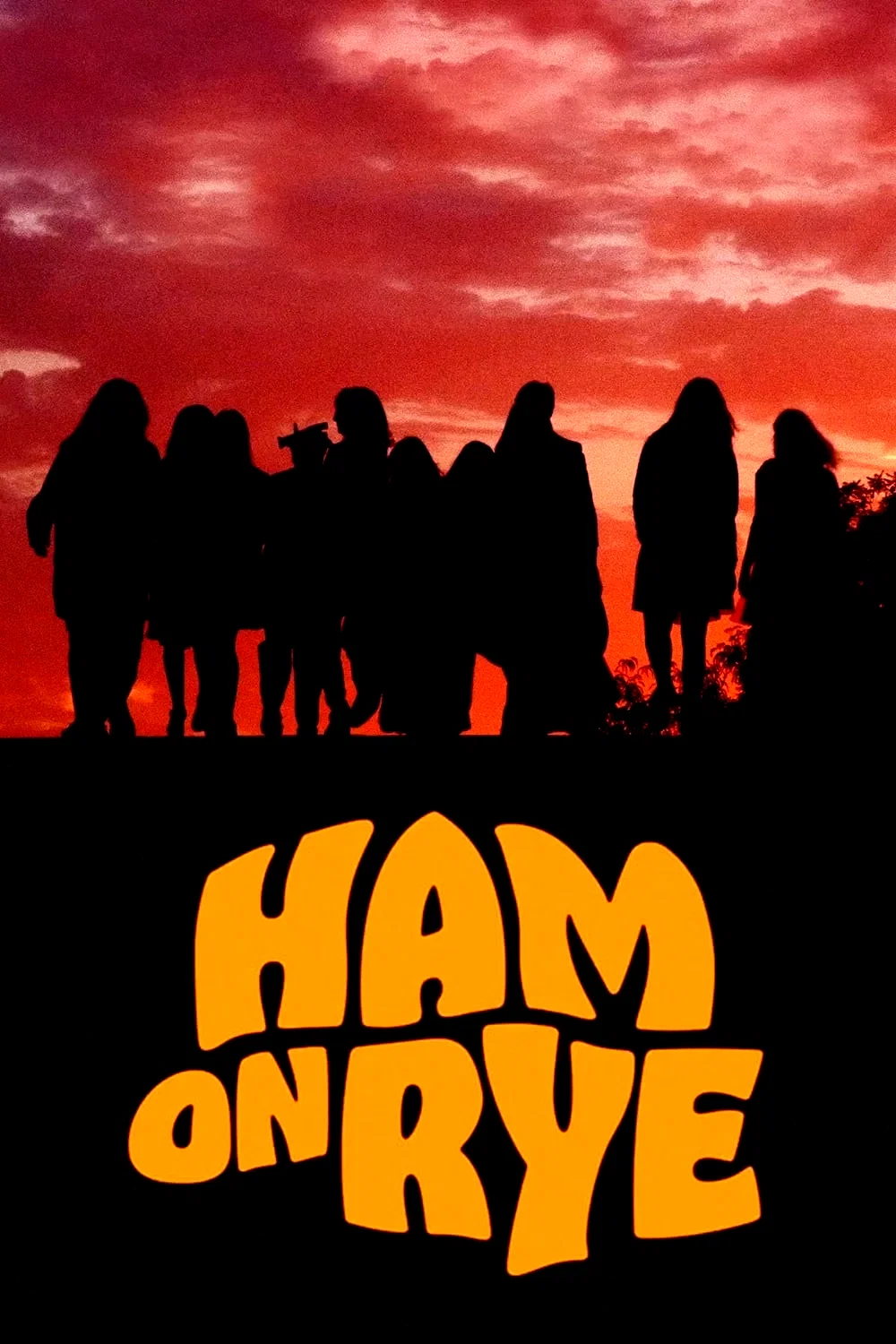 Photo 4 du film : Ham on Rye