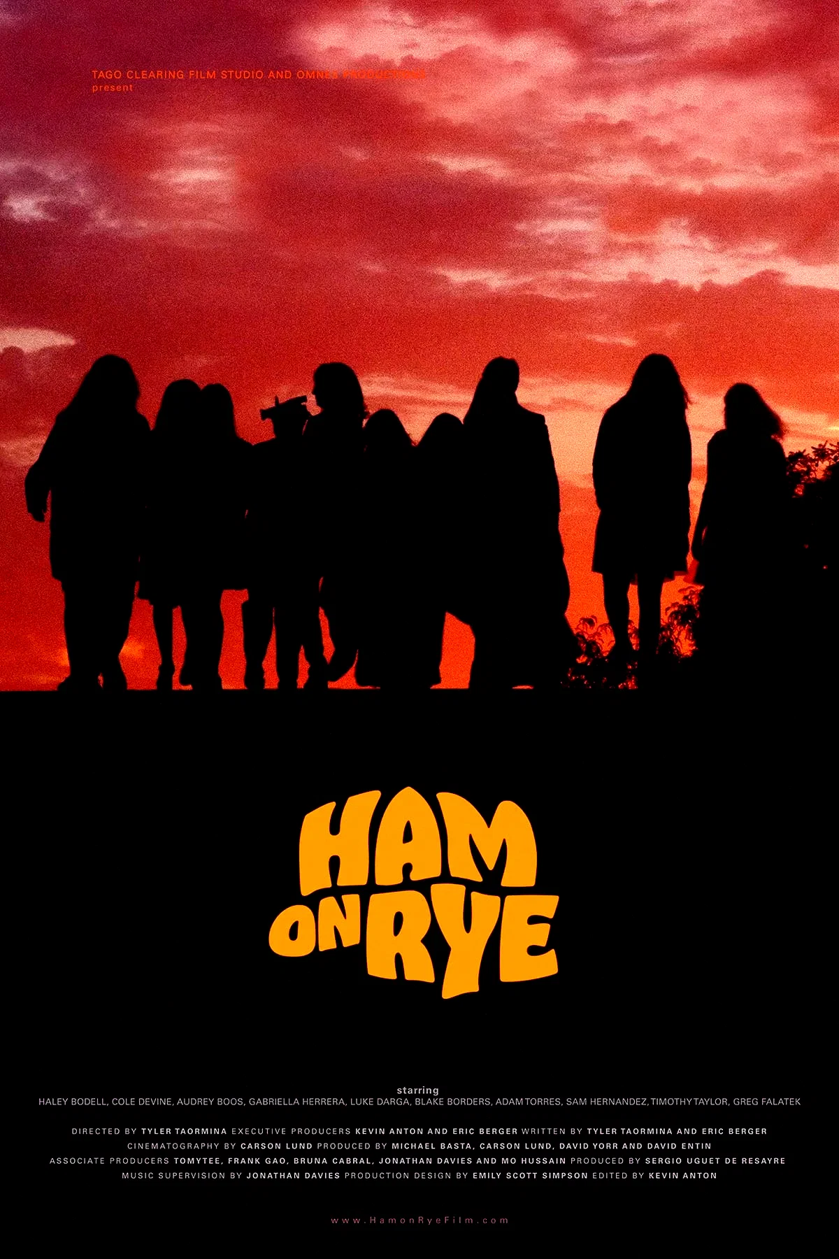 Affiche du film : Ham on Rye