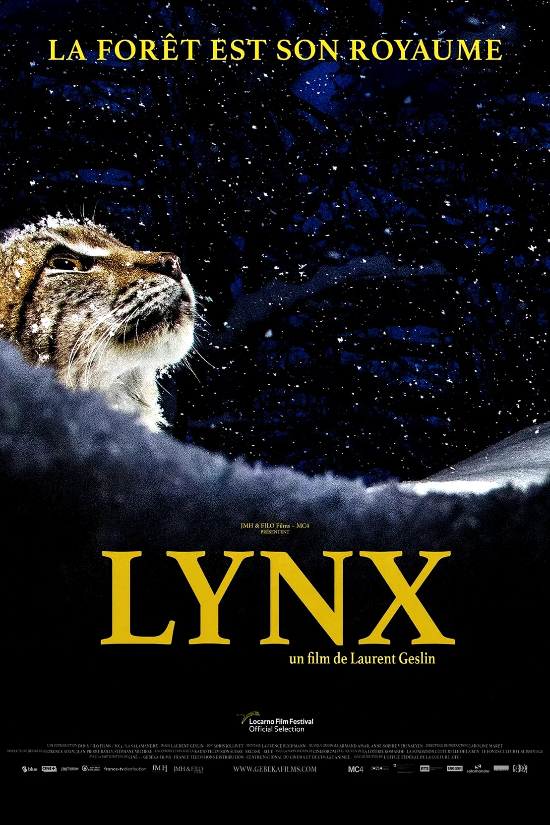 Affiche du film : Lynx