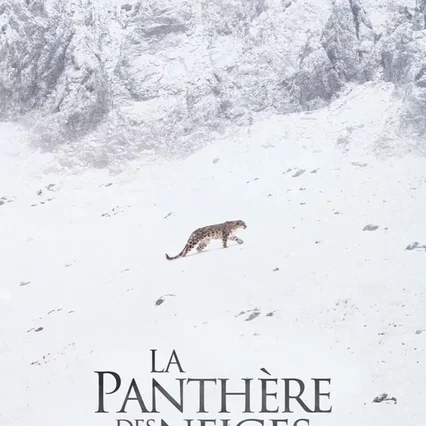 Miniature photo du film : La Panthère des neiges