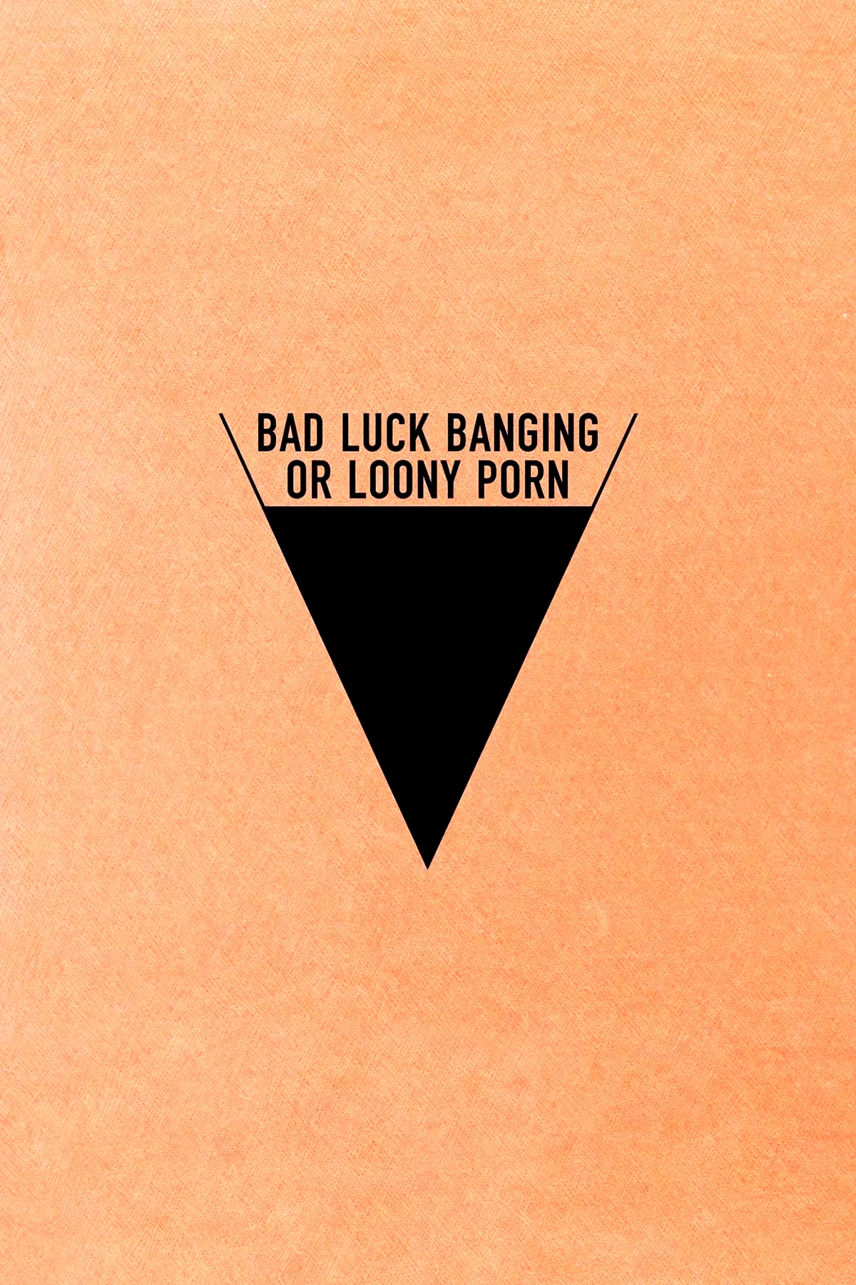 Affiche du film : Bad Luck Banging or Loony Porn