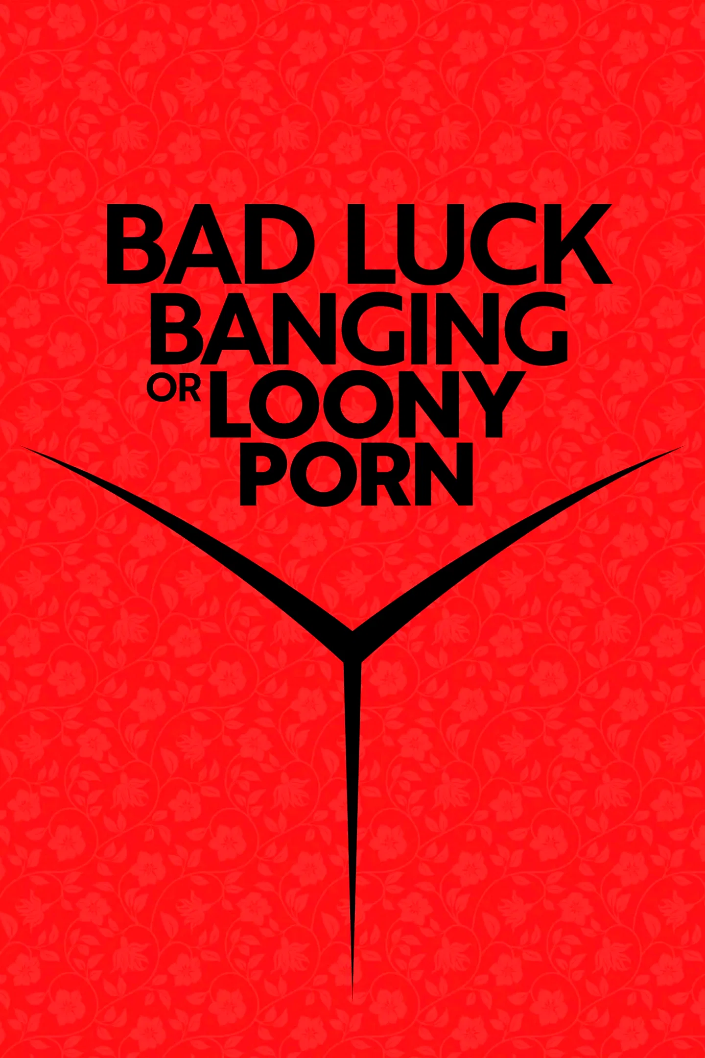Photo 2 du film : Bad Luck Banging or Loony Porn