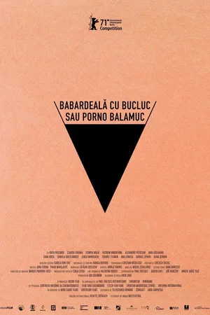 Photo du film : Bad Luck Banging or Loony Porn