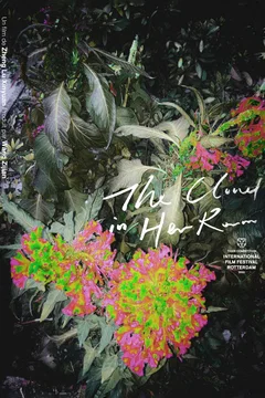 Affiche du film The Cloud in Her Room