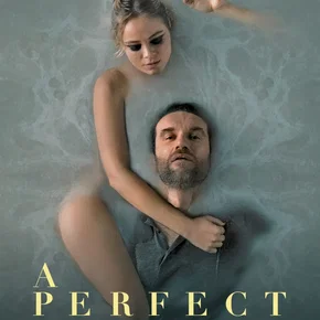 Photo du film : A Perfect Enemy