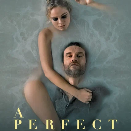 Miniature photo du film : A Perfect Enemy