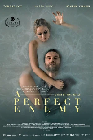 Photo 3 du film : A Perfect Enemy