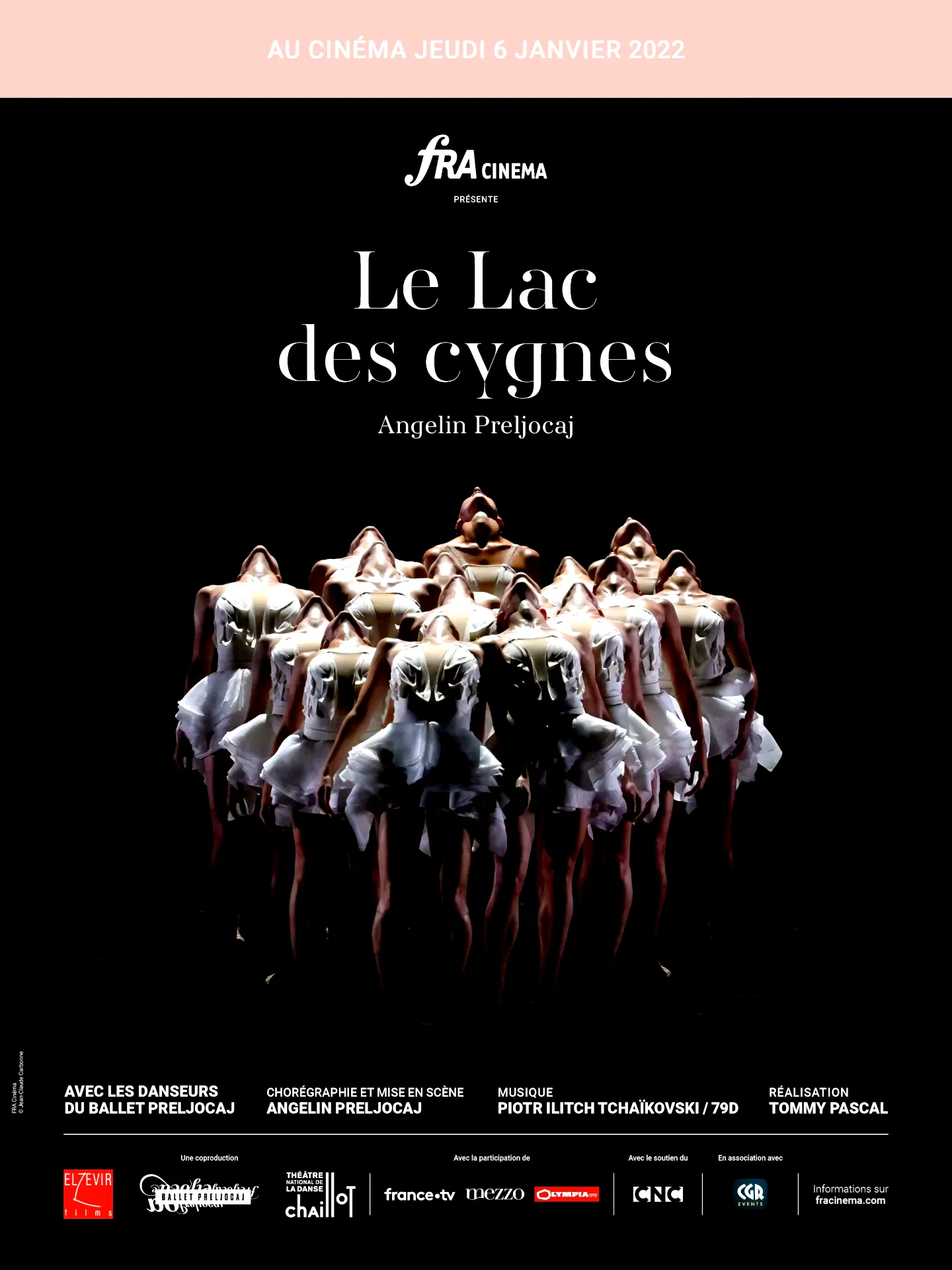 Affiche du film : Le Lac des cygnes (Chaillot-FRA Cinéma)