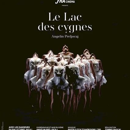 Miniature photo du film : Le Lac des cygnes (Chaillot-FRA Cinéma)
