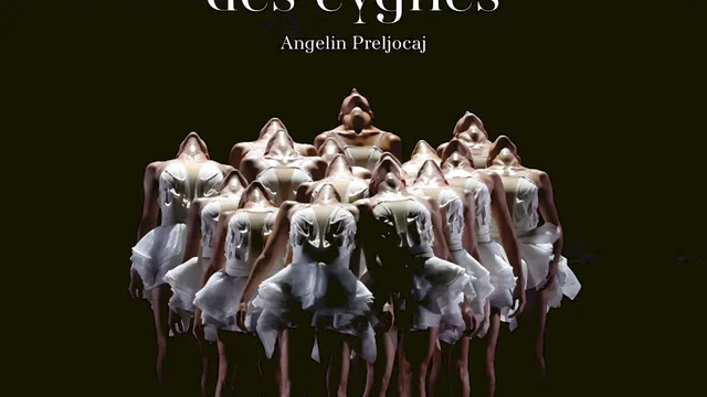 Affiche du film : Le Lac des cygnes (Chaillot-FRA Cinéma)