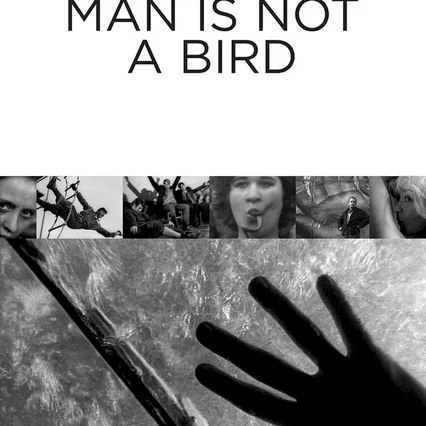 Miniature photo du film : L'Homme n'est pas un oiseau
