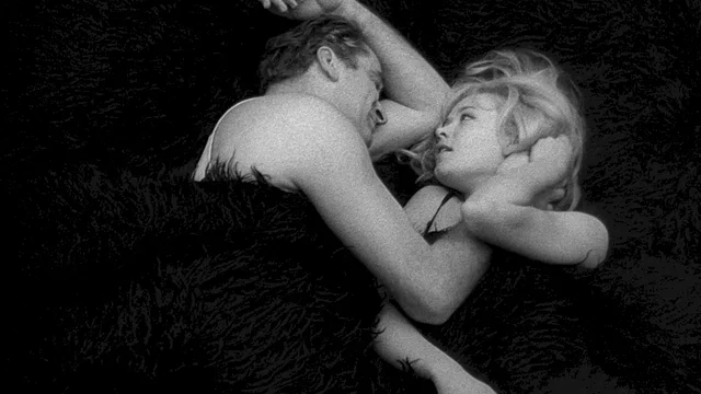 Photo 3 du film : L'Homme n'est pas un oiseau