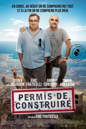Affiche du film : Permis de construire