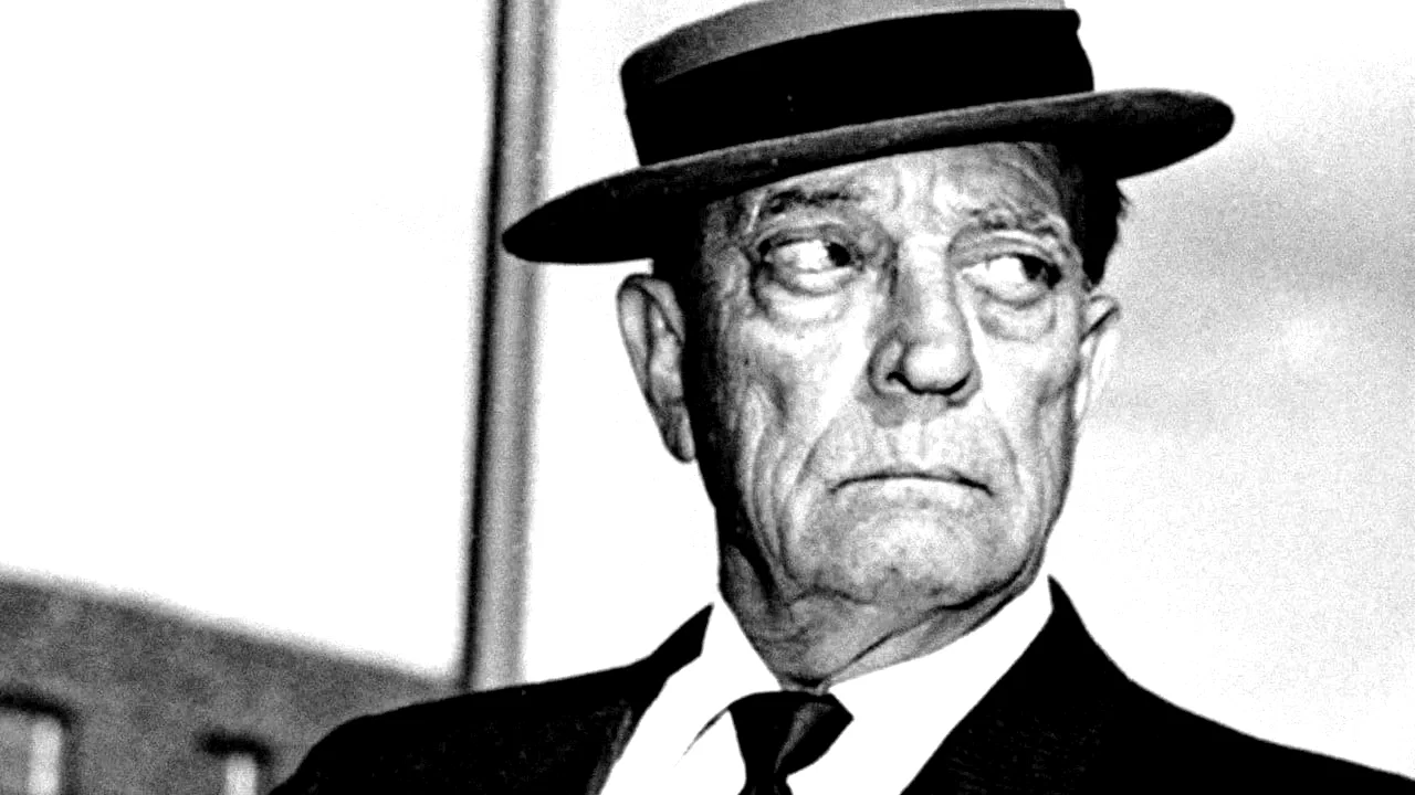 Photo 3 du film : Avec Buster Keaton