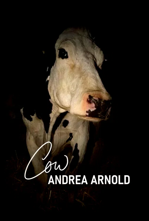 Affiche du film : Cow