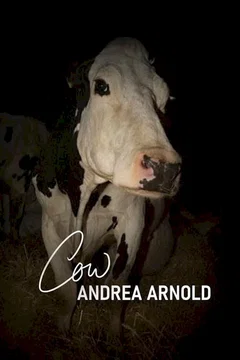 Affiche du film Cow