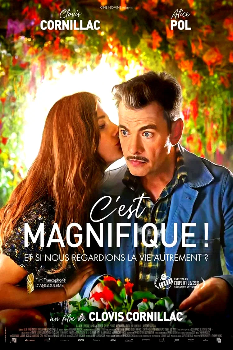 Affiche du film : C'est magnifique !