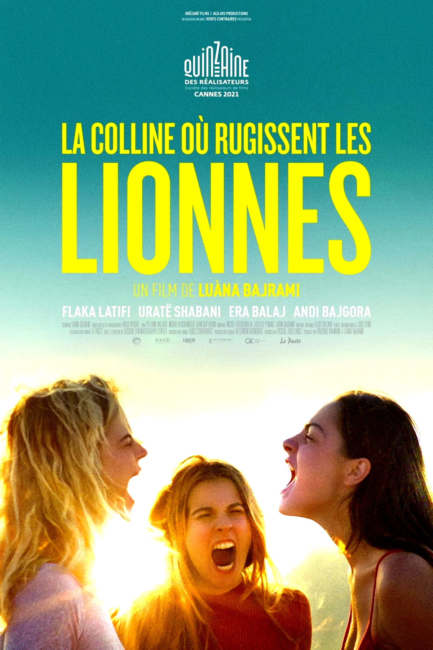 Affiche du film : La Colline où rugissent les lionnes