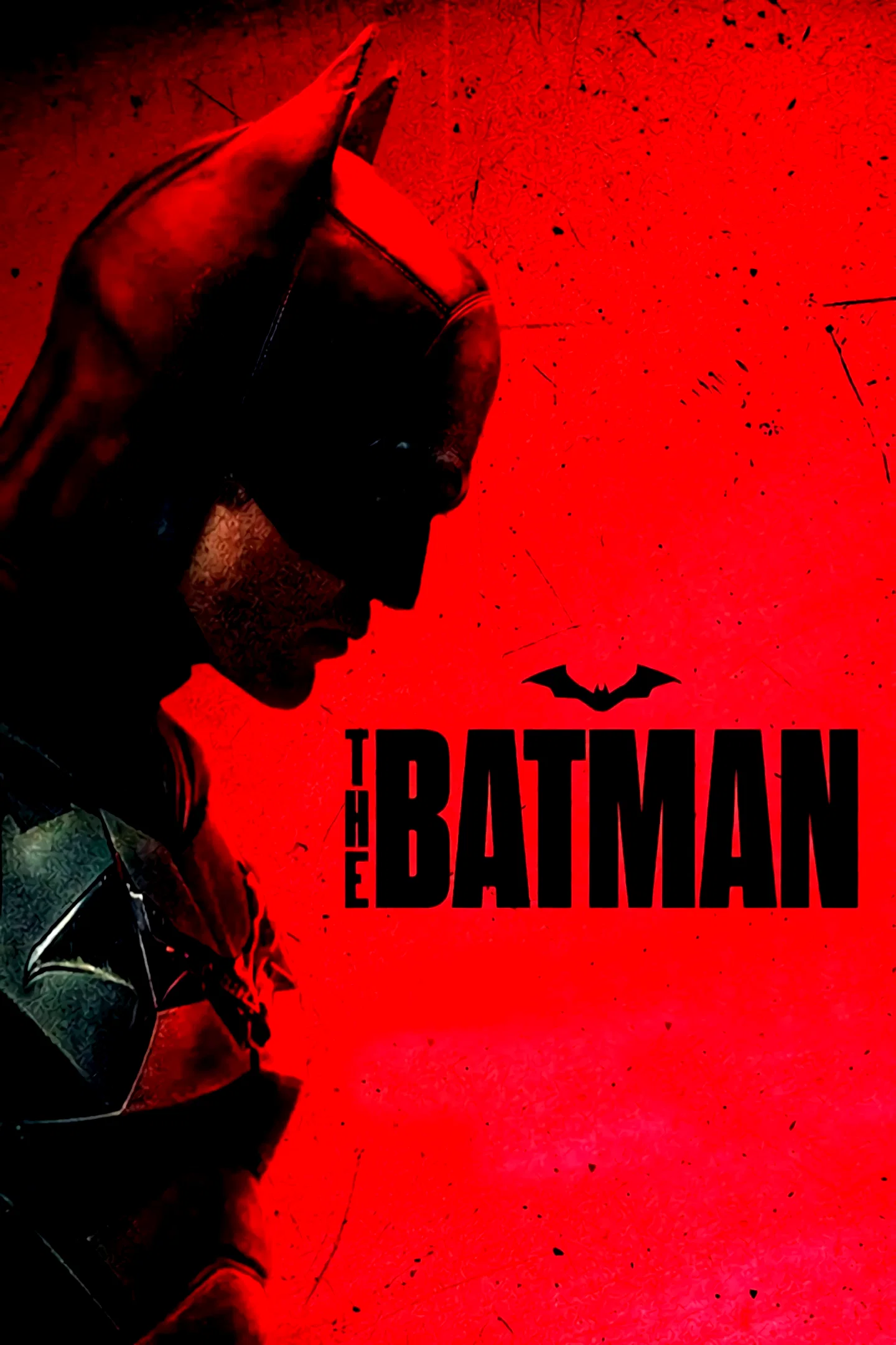 Photo 8 du film : The Batman