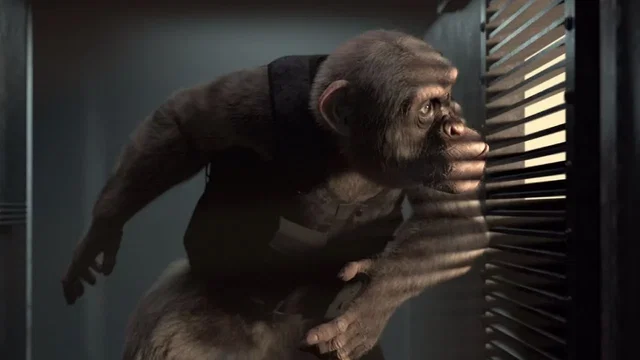 Photo 5 du film : C.I.Ape