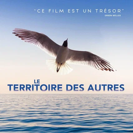 Miniature photo du film : Le territoire des autres