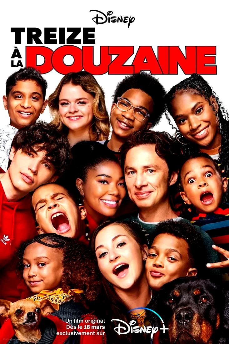 Affiche du film : Treize à la douzaine