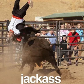 Photo du film : Jackass Forever