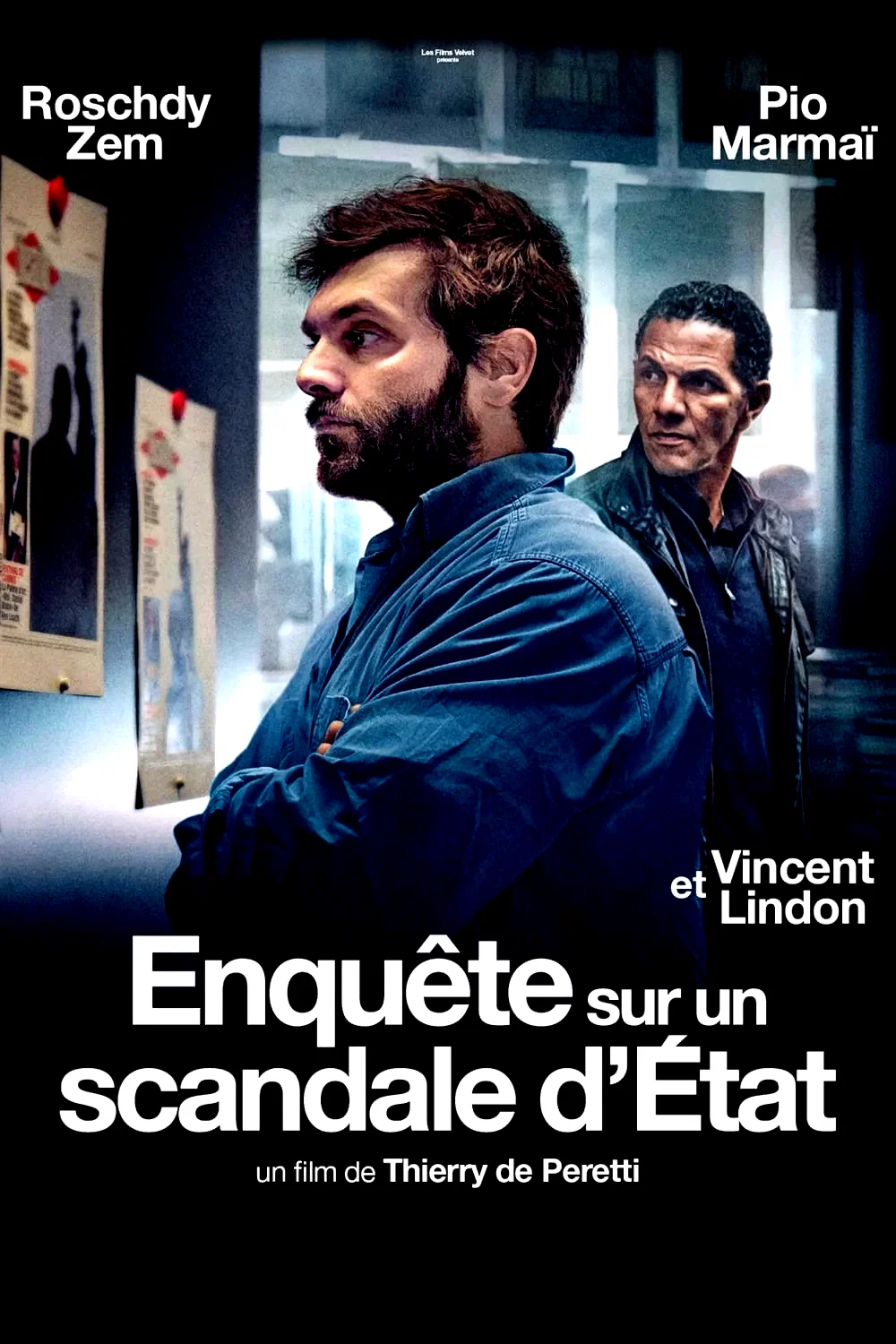 Affiche du film : Enquête sur un scandale d'État