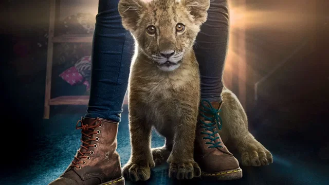 Affiche du film : King