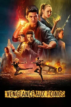 Affiche du film Vengeance aux poings