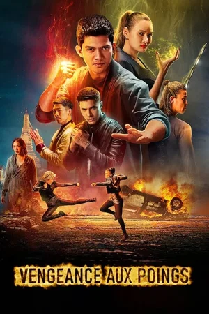 Affiche du film : Vengeance aux poings