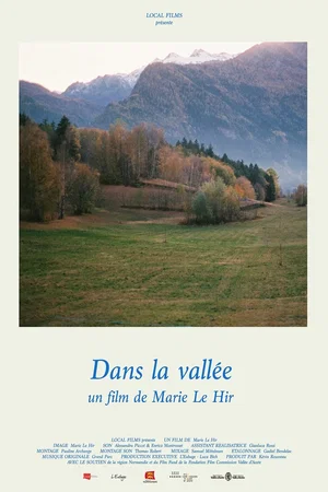 Affiche du film : Dans la vallée