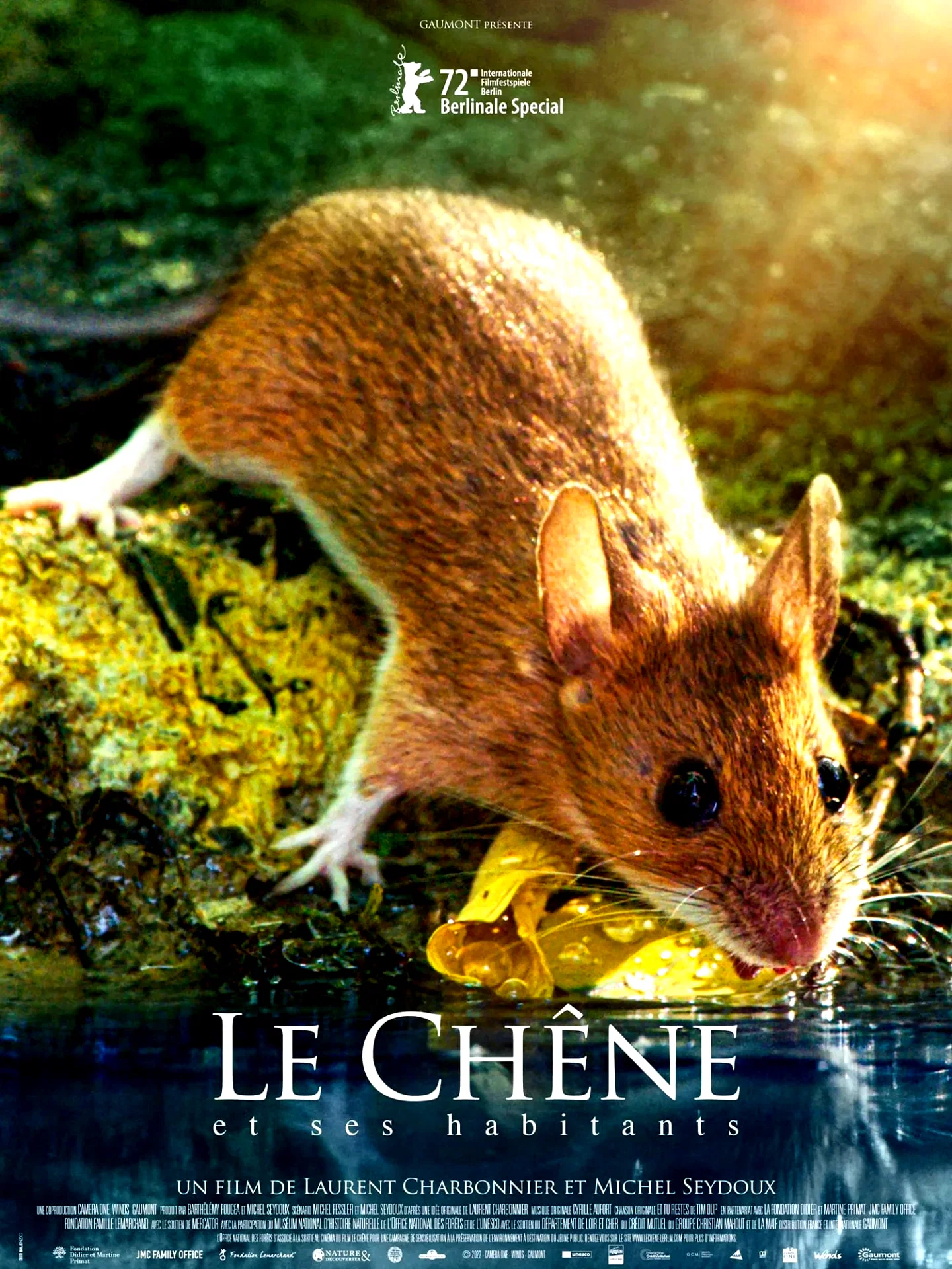 Photo 2 du film : Le chêne