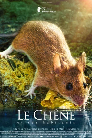 Photo du film : Le chêne